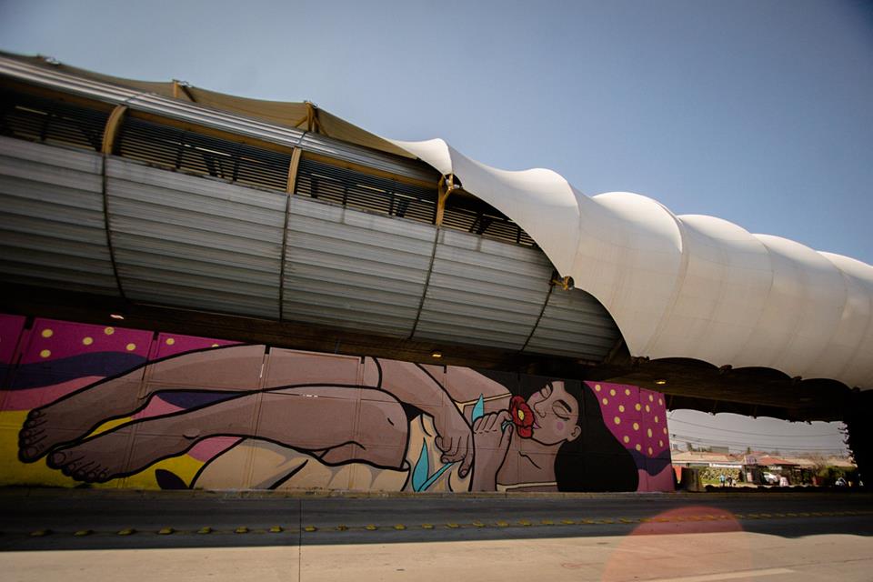 40330142_2139605442971457_1071936919828430848_n